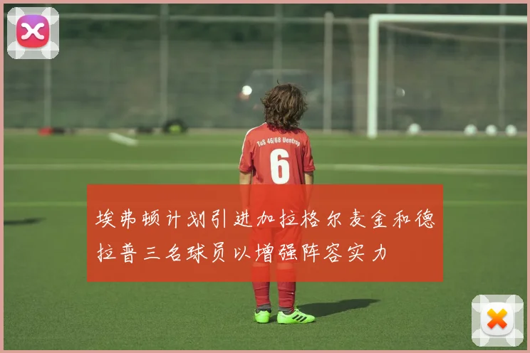 埃弗顿计划引进加拉格尔麦金和德拉普三名球员以增强阵容实力
