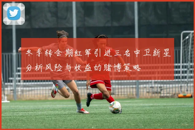 冬季转会期红军引进三名中卫新星分析风险与收益的赌博策略